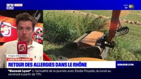 L'instant Scoop: le retour des allergies aux pollens dans le Rhône