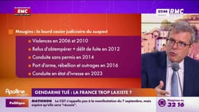 "Dans quel pays au monde on renouvelle un titre de séjour à un individu qui a 9 mentions au casier", demande Thibault de Montbrial