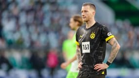 M. Reus