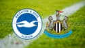 Brighton – Newcastle : à quelle heure et sur quelle chaîne voir le match ?
