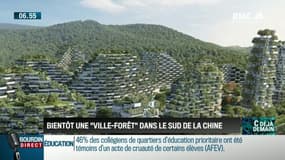 La chronique d'Anthony Morel : Bientôt une "ville-forêt" dans le sud de la Chine - 20/09