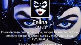 Une capture d'écran du compte Twitter de "Felina", peu de temps avant sa mort.