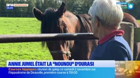  Calvados: 11 ans après la  mort du célèbre cheval Ourasi, sa "nounou" continue de veiller sur lui