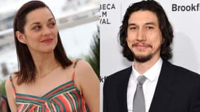 Marion Cotillard et Adam Driver