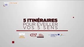 5 itinéraires pour éveiller vos 5 sens