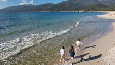 Des promeneurs sur une plage de Corse, le 27 décembre 2022 (Photo d'illustration).