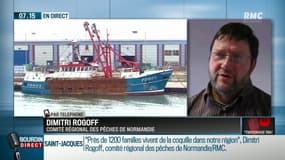 Guerre de la coquille Saint-Jacques: "Les Britanniques sont des gens d'argent, ils ont senti le bon filon" accuse Dimitri Rogoff, comité régional des pêches de Normandie sur RMC
