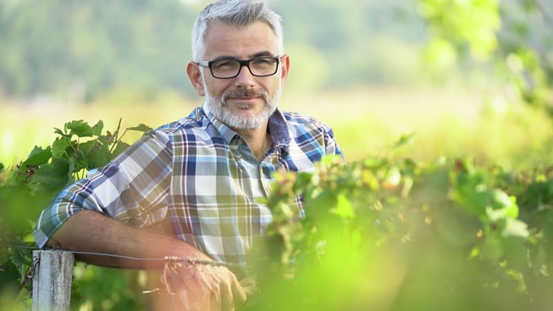 Mon Vin Français déniche les pépites de nos terroirs
