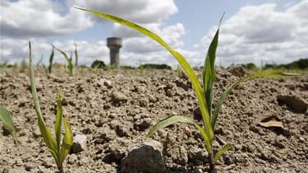 Champ asséché dans l'ouest de la France. Le président de la FNSEA, la principale organisation agricole, dit douter du milliard d'euros d'aides annoncé par le gouvernement pour faire face à la sécheresse. Selon lui, les aides annoncées jusqu'à lors se mont