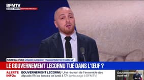 Gouvernement de Sébastien Lecornu: "Ce soir, il y a une escroquerie politique en bande organisée", déclare Matthieu Valet, député européen RN