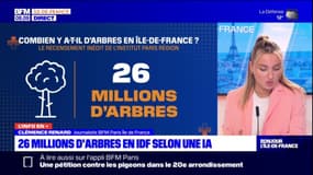 Île-de-France: 26 millions d'arbres recensés dans la région par une intelligence artificielle