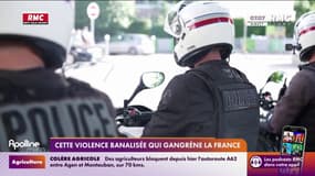 Cette violence banalisée qui gangrène la France