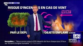 La météo pour ce jeudi 11 août 2022