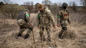 Des démineurs dans un champ de mines près de Brovary, au nord-est de Kiev, le 14 avril 2022 en Ukraine
