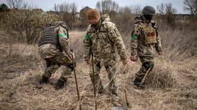 Des démineurs dans un champ de mines près de Brovary, au nord-est de Kiev, le 14 avril 2022 en Ukraine