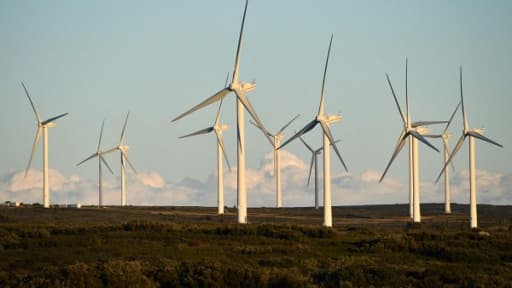 Image d'illustration