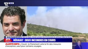 Incendies dans l'Hérault: "Aujourd'hui, la catastrophe, ce sont 600 hectares qui ont déjà brûlé", affirme le maire de Gignac