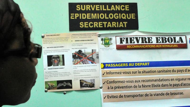 Ebola: feu vert de l'OMS pour les traitements expérimentaux