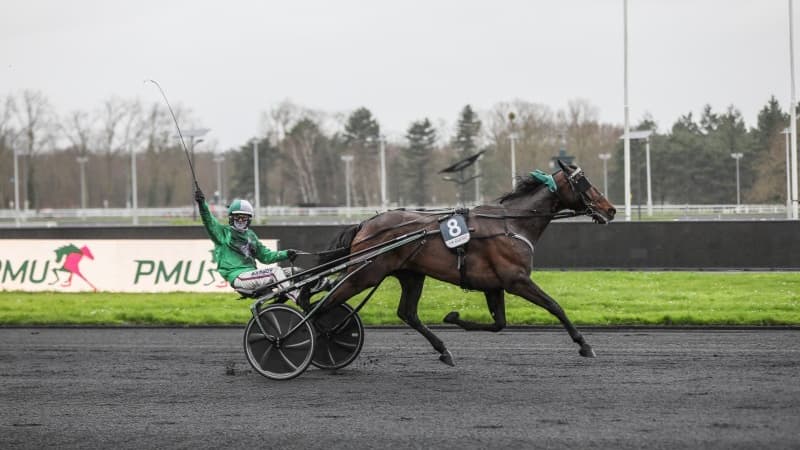 Prix de Bretagne - Amérique Races Q1 : Hussard du Landret conserve sa couronne