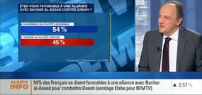 Frappes aériennes en Syrie: 67% des Français soutiennent l'action de François Hollande