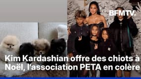 Kim Kardashian offre des chiots à ses enfants pour Noël et provoque la colère de l’association PETA 