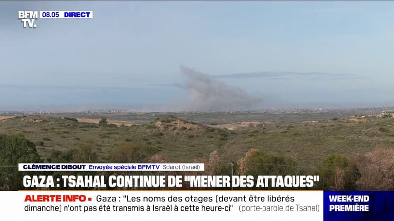 Trêve retardée à Gaza: l'armée israélienne 