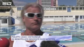 Natation : Philippe Lucas fait sa rentrée à Montpellier