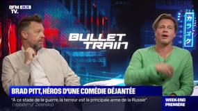 Brad Pitt, héros d'une comédie déjantée - 31/07