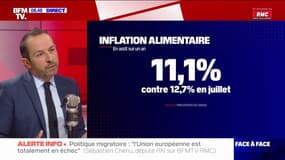 Sébastien Chenu: "Il faut taxer les surprofits en période de crise"