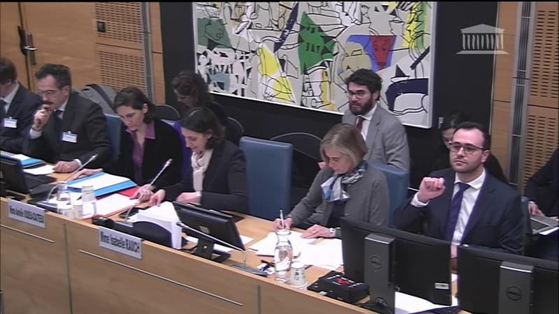 Suivez l'audition d'Amélie Oudéa-Castéra devant la commission des Affaires culturelles et éducatives de l'Assemblée