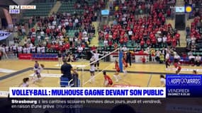Volley-ball: Mulhouse s'impose face à Marcq-en-Barœul devant son public 