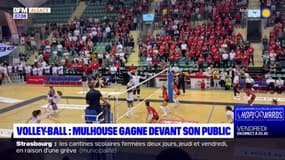 Volley-ball: Mulhouse s'impose face à Marcq-en-Barœul devant son public 