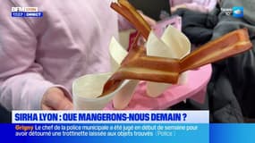 Sirha Lyon: que mangerons-nous demain?