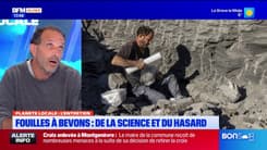 Il découvre deux squelettes d'ichtyosaures dans la Vallée du Jabron