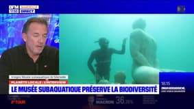 Planète locale Marseille : La musée subaquatique préserve la biodiversité.