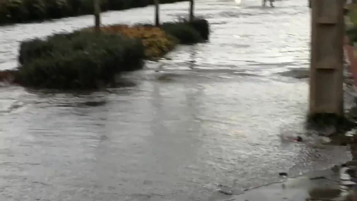 placeholder video