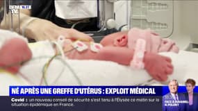 La petite Misha est le premier bébé né en France après une greffe d'utérus