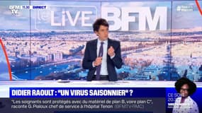 Didier Raoult: "un virus saisonnier" ? (5) - 22/04
