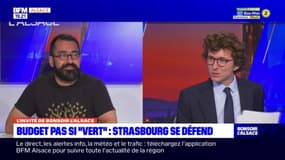 Budget pas si "vert" à Strasbourg: la ville dénonce la méthodologie de l'institut Montaigne