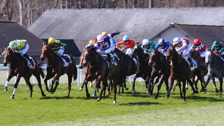 Les pronos hippiques du 18 mars 2025
