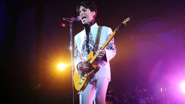 Prince en concert au Grand Palais à Paris en 2009 -