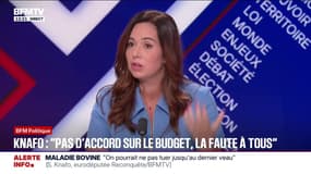 Absence d'accord sur le budget: la faute à "tous, au RN, à LFI, de toute la classe politique", déplore Sarah Knafo