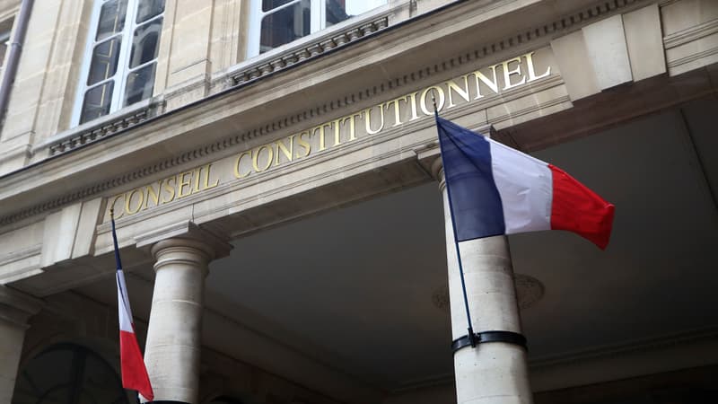 Conseil constitutionnel. 