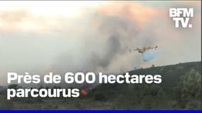 Après avoir stabilisé l'incendie dans l'Aude, les pompiers tentent de le fixer