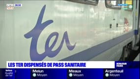 Ile-de-France: les TER dispensés de pass sanitaire