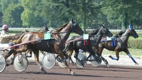 Les pronos hippiques du samedi 8 octobre 2022