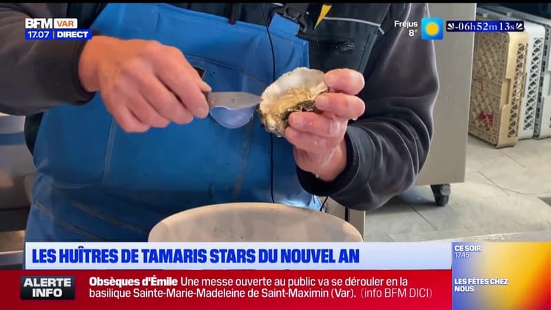 La Seyne-sur-Mer: les huîtres de Tamaris, les stars du Nouvel An