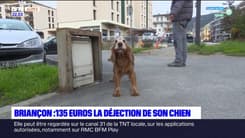 Briançon: 135 euros la déjection de son chien