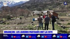 Haute-Alpes: le succès des jardins partagés de Briançon