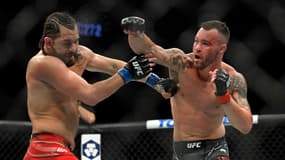 Colby Covington
